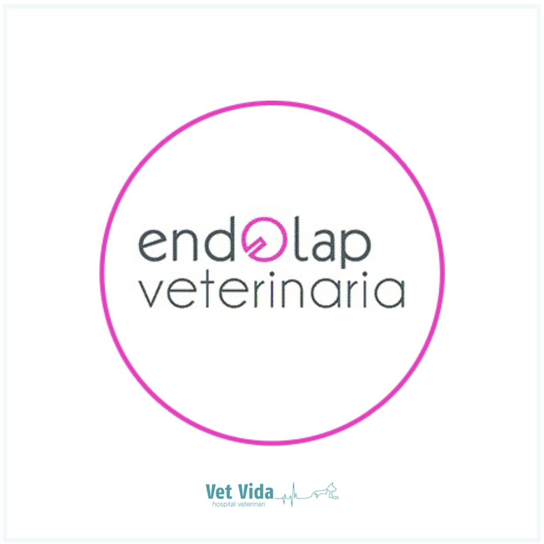 Endolap